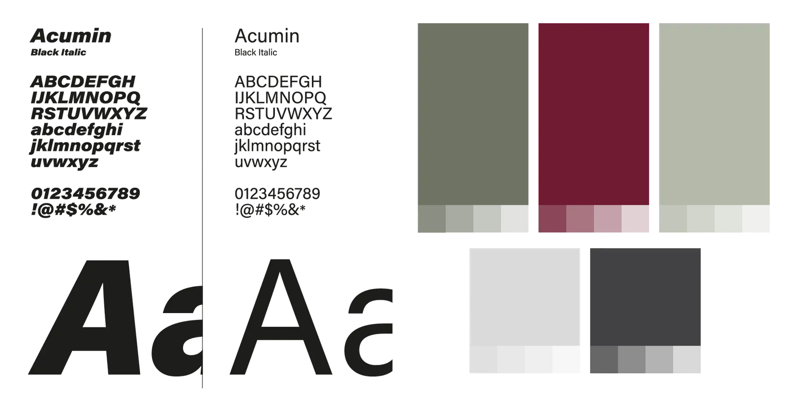 Fritzbrauser Fonts & Colors